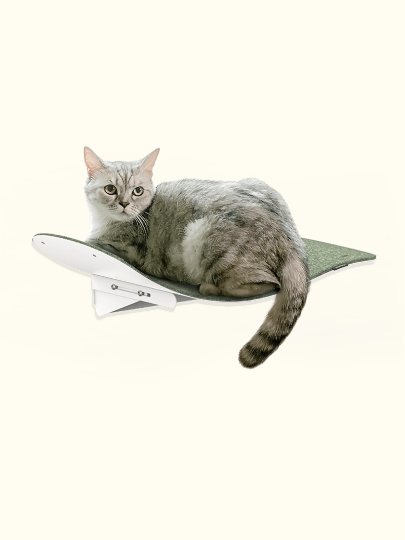 Fidotail cat wave window seat + carpet mat (2 colors)
