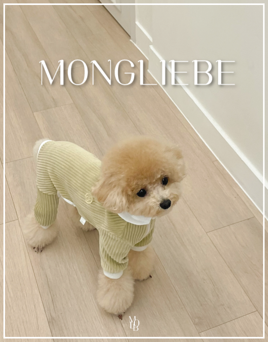 MOLB-MONG BUTTER ALL IN ONE (S : OLIVE)