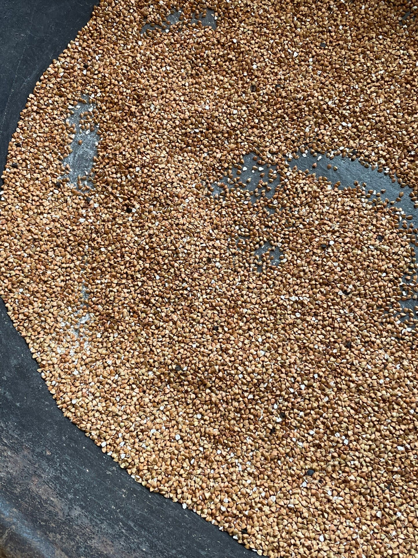 Grandnoodle Buckwheat Noodles