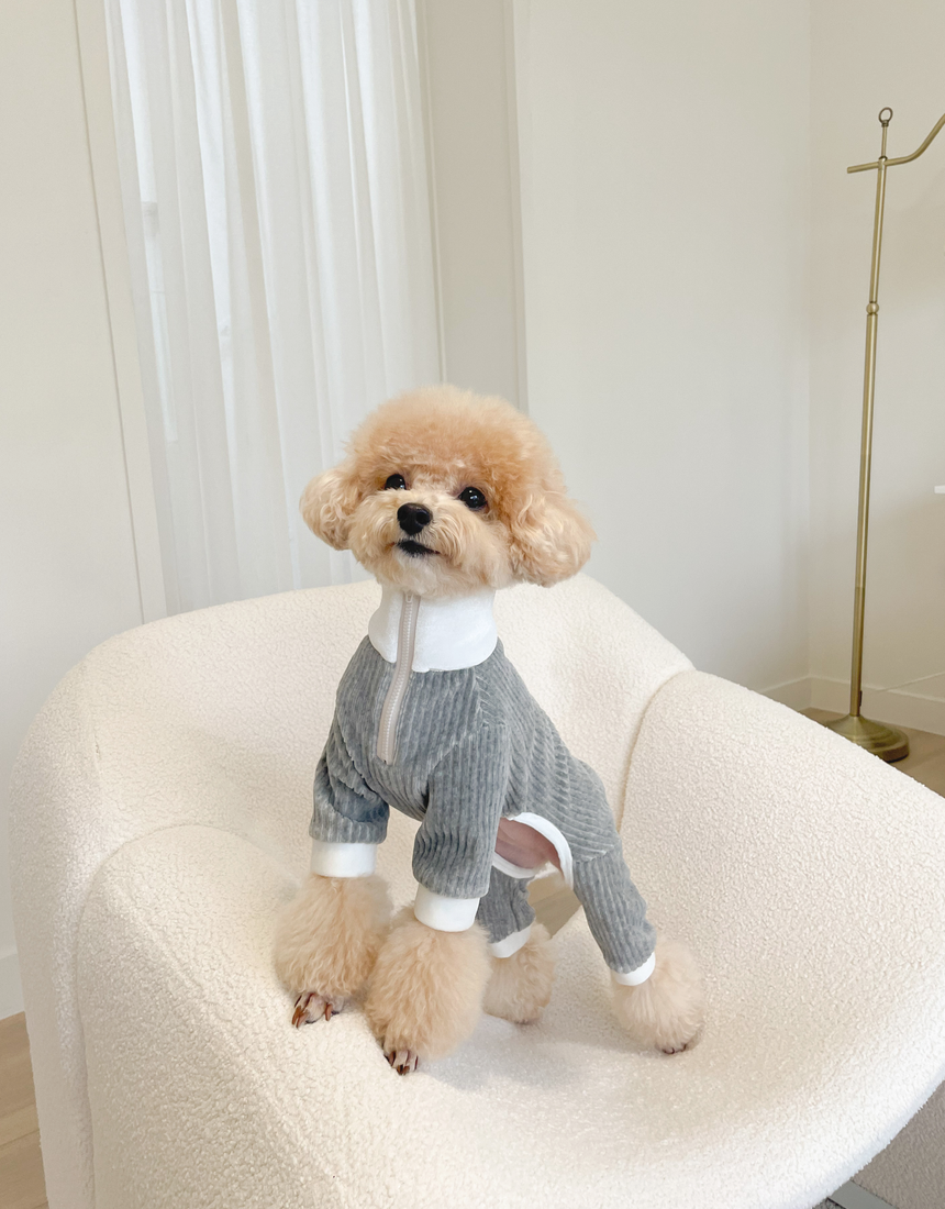 MOLB-MONG BUTTER ALL IN ONE (M : GREY)