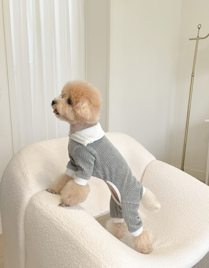 MOLB-MONG BUTTER ALL IN ONE (M : GREY)
