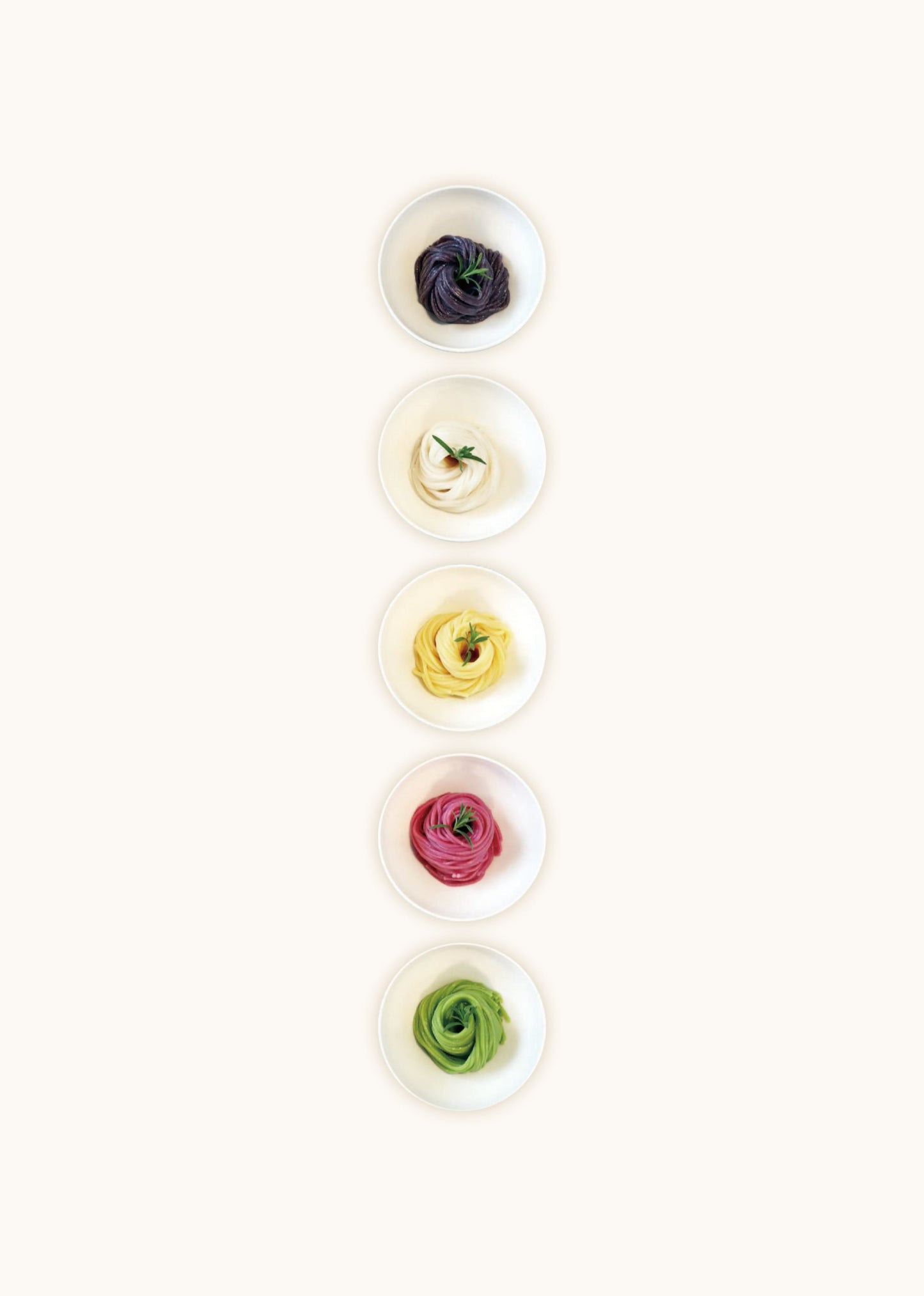 Grandnoodle 3 colors NOODLES