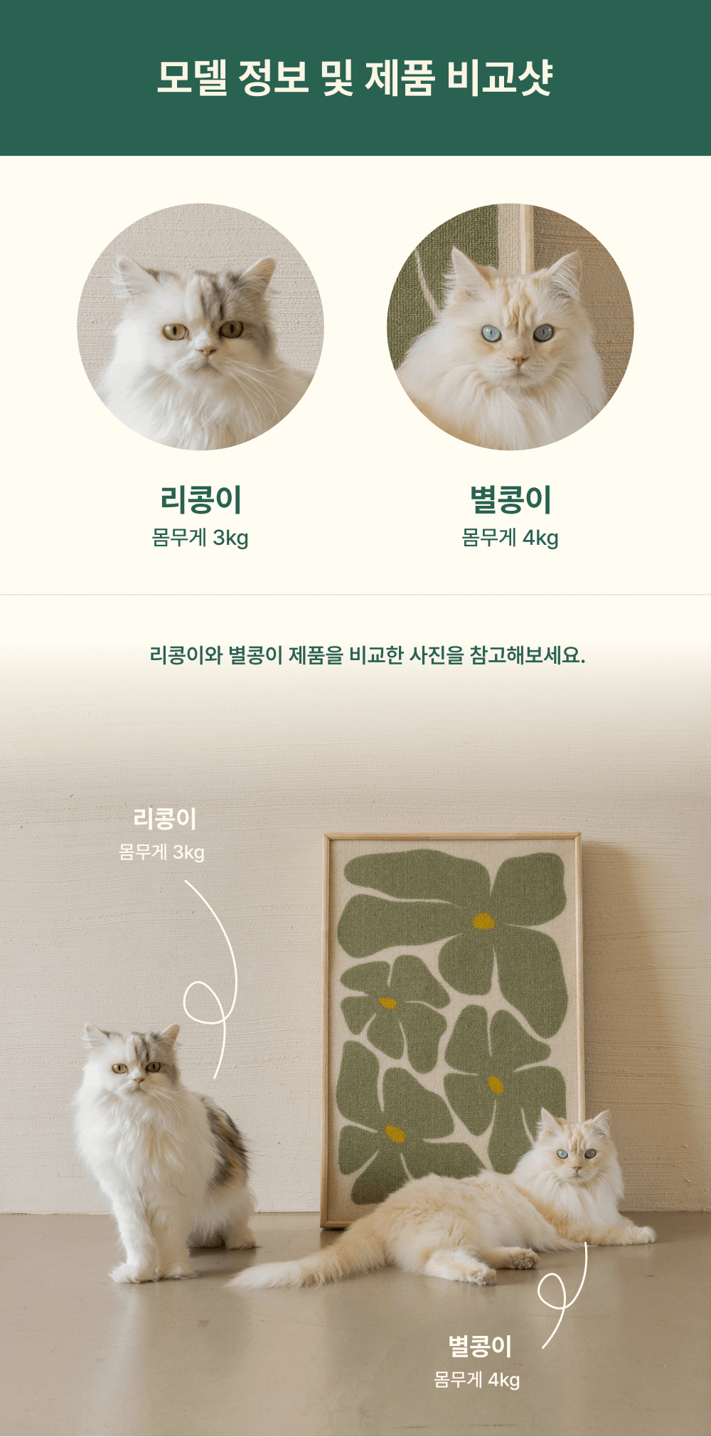 Fidotail Art poster scratcher (2 colors)