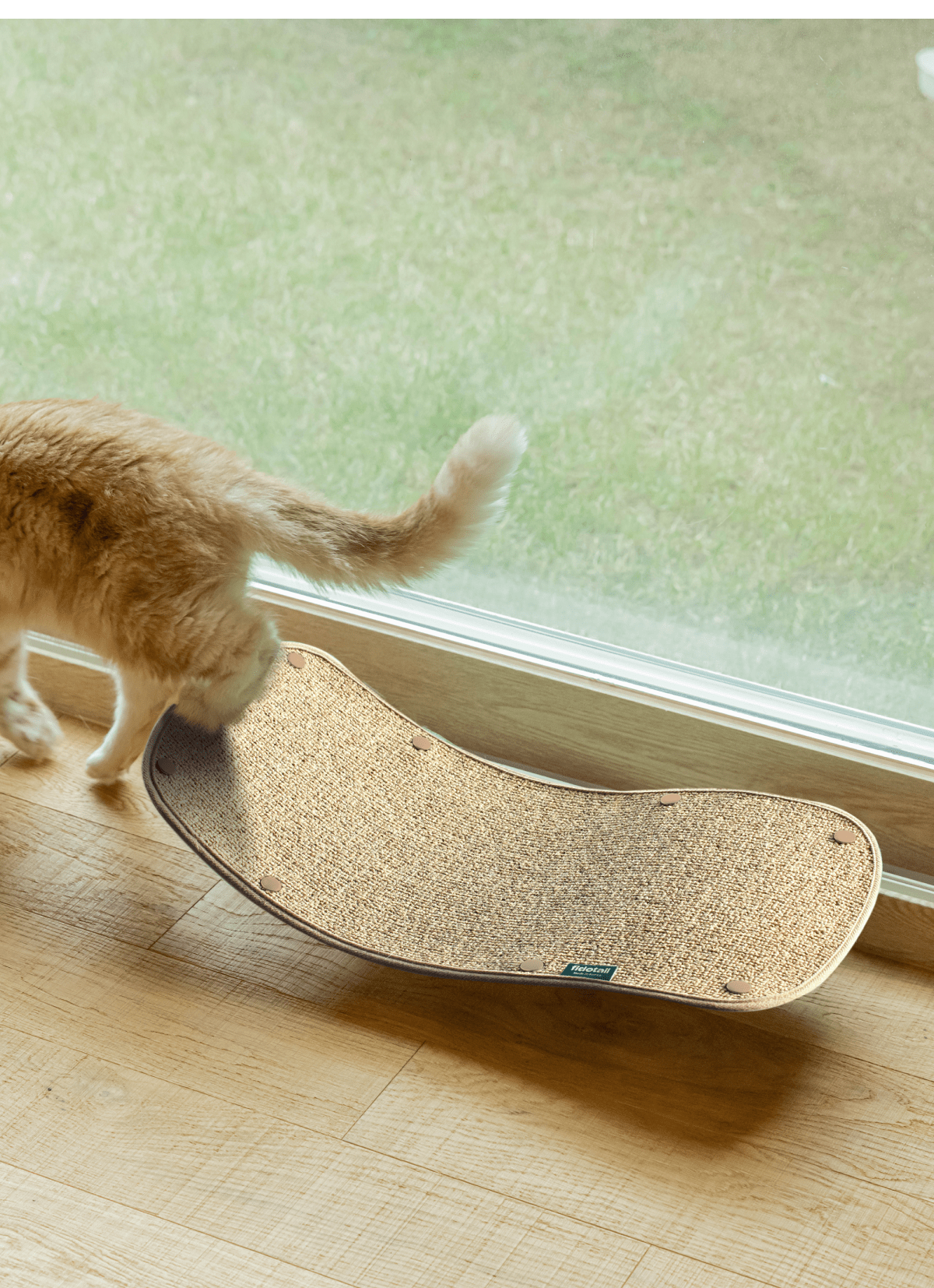 Fidotail cat wave window seat + carpet mat (2 colors)