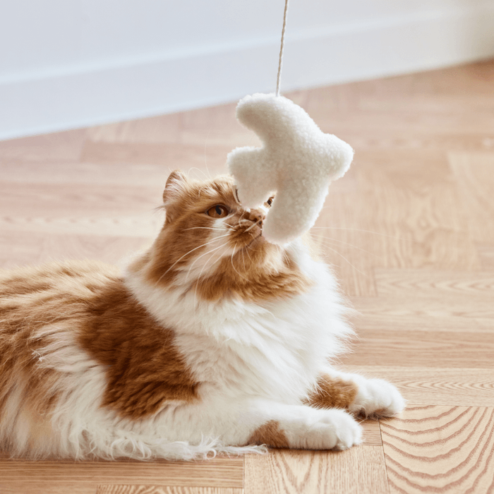 Fidotail Cloud Hanging Toy (3 shapes)