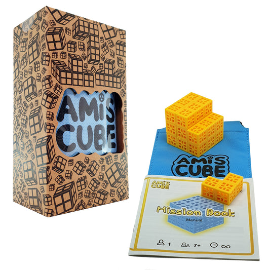 Amis Cube Puzzle Brain Teaser 3D Cube For Spatial Skills Game