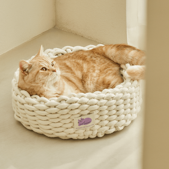 Fidotail cat knit basket (2 colors)