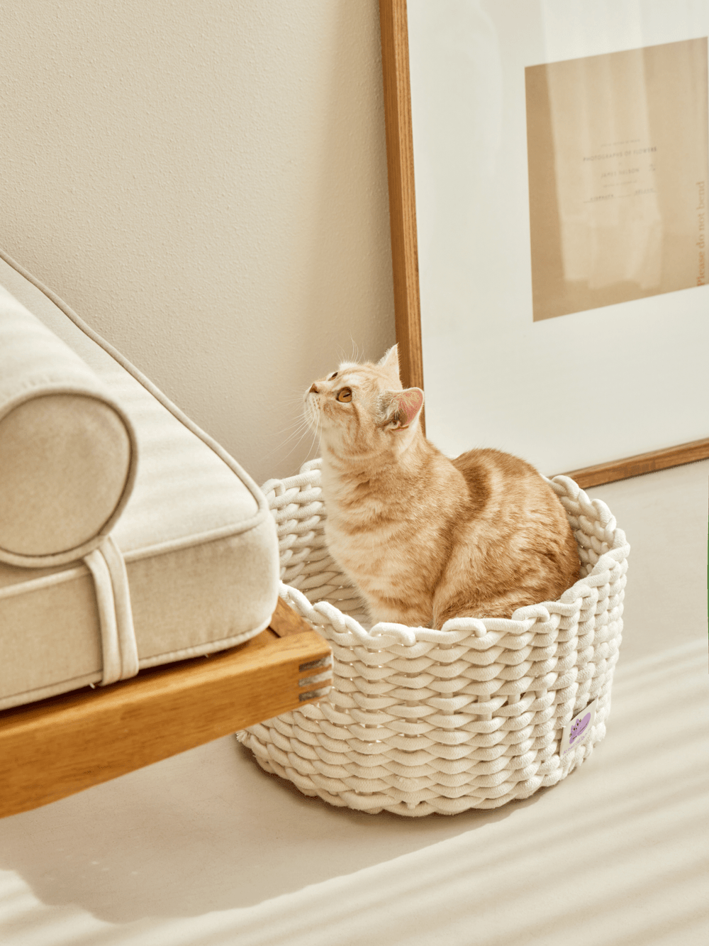 Fidotail cat knit basket (2 colors)