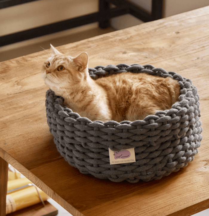 Fidotail cat knit basket (2 colors)