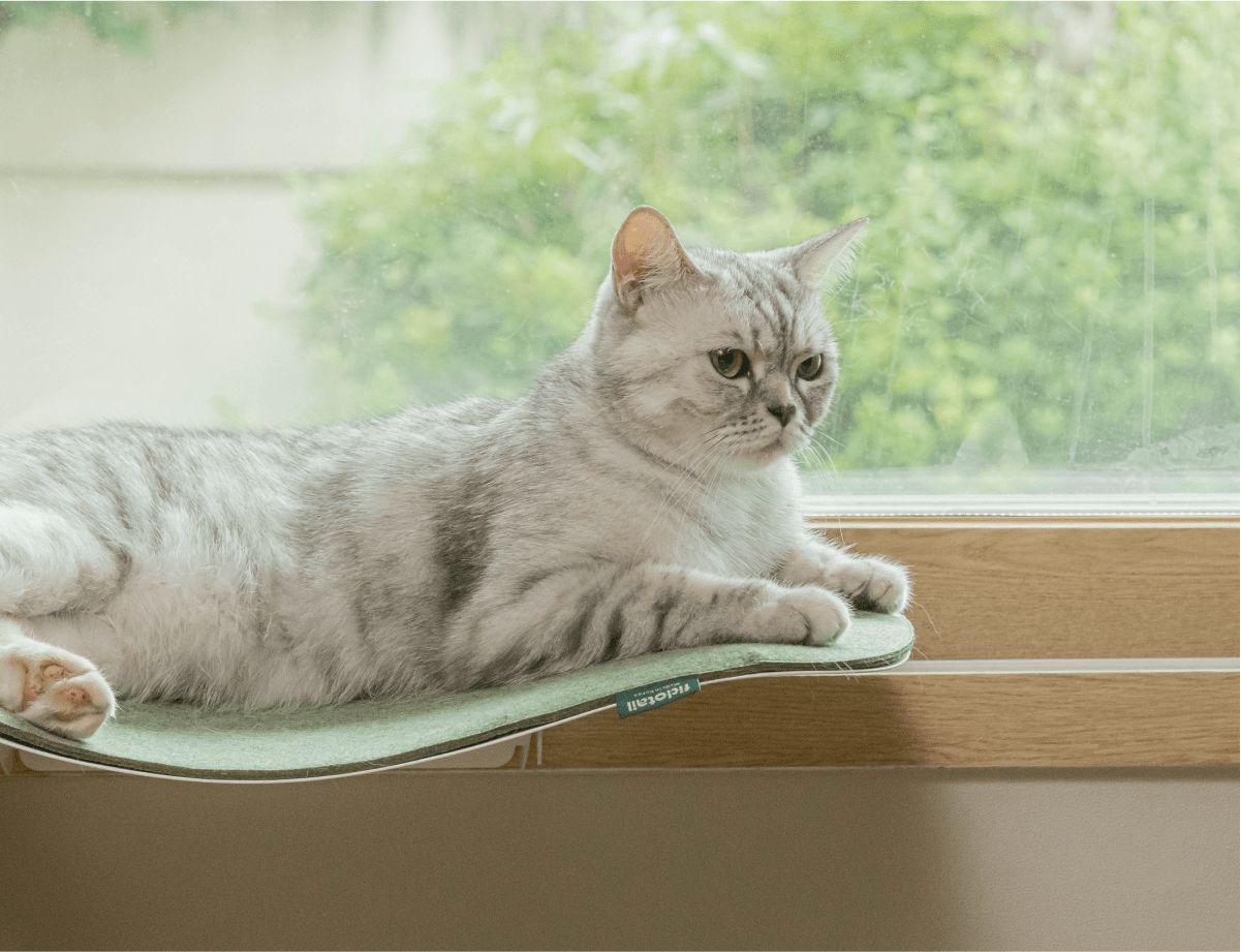 Fidotail cat wave window seat + carpet mat (2 colors)